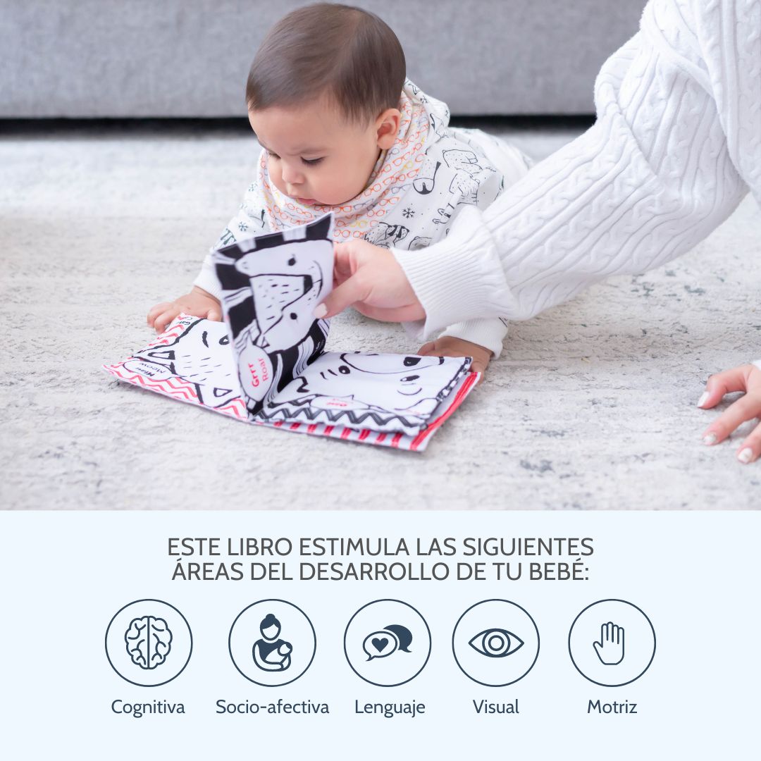 bc babycare Libros para bebés de 0 a 6 meses, libro de tela suave y  arrugada para bebé recién nacido, juguetes para el tiempo boca abajo para  bebés de